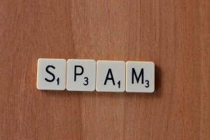 blog8