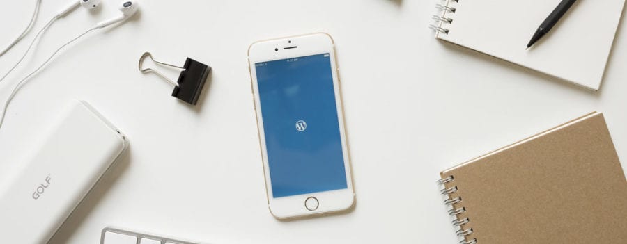 Wordpress seo guide