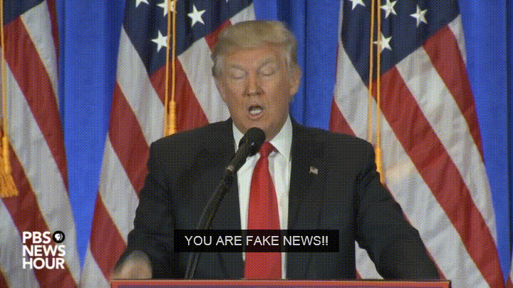 Fake News and SEO