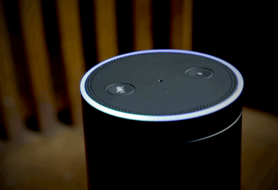 alexa voice search