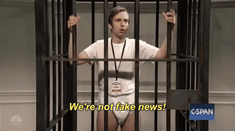 fake news