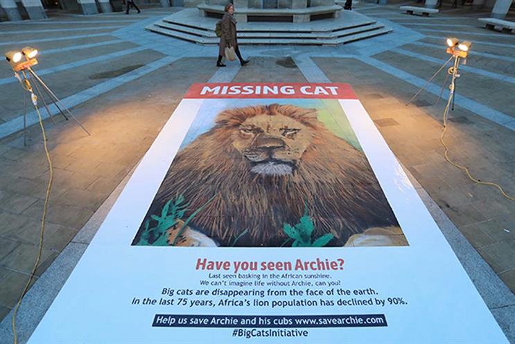 national geographic - missing cat