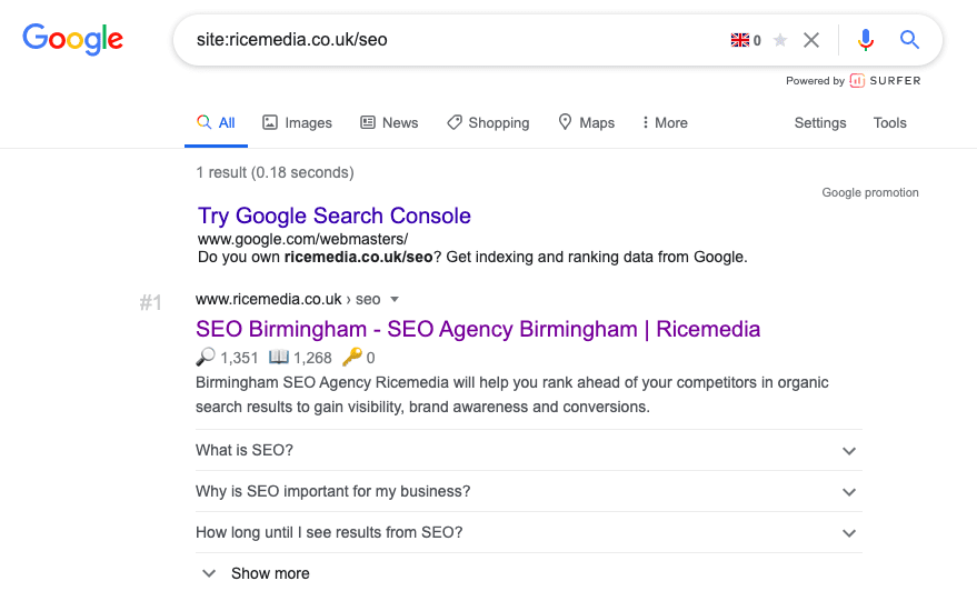 ricemedia seo site search