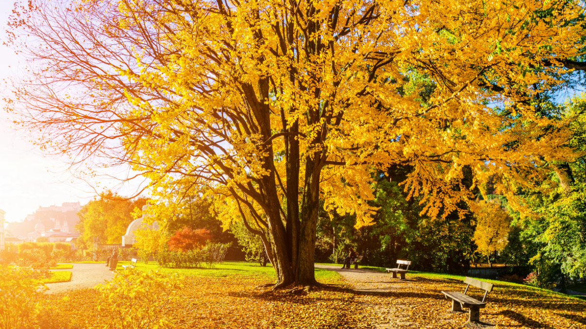 September digital marketing round-up